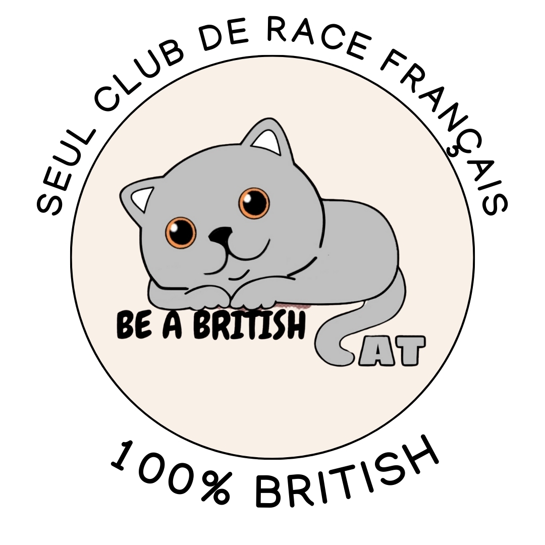 Be a British Cat — club de race