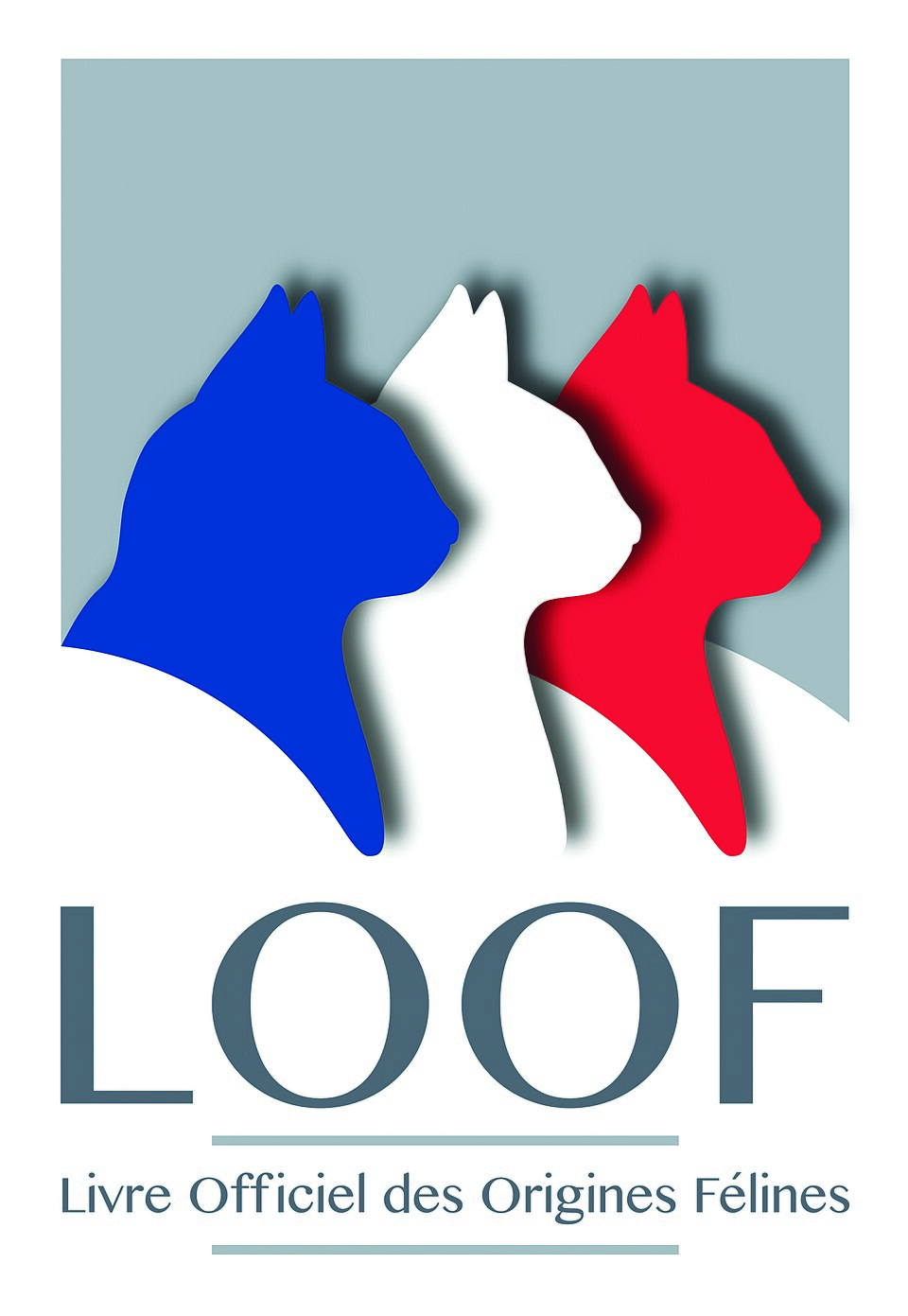 LOOF — Livre Officiel des Origines Félines